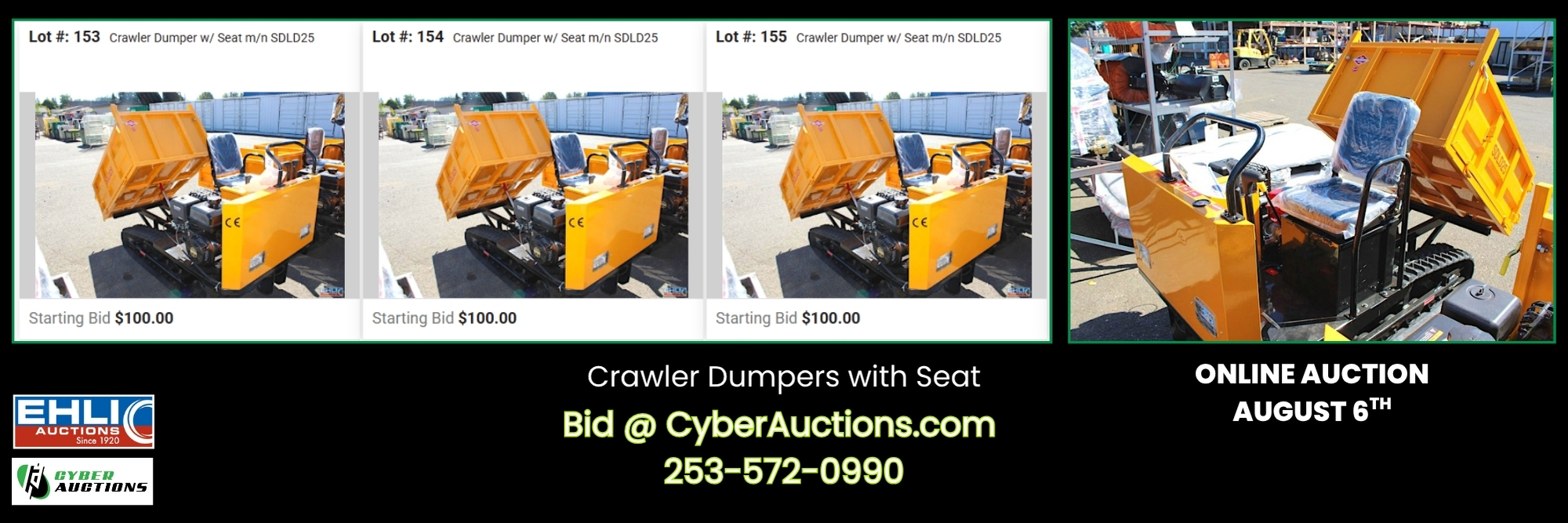 Online Auction August 6th (4)
